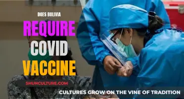 Bolivia's COVID-19 Vaccine Requirements for Entry