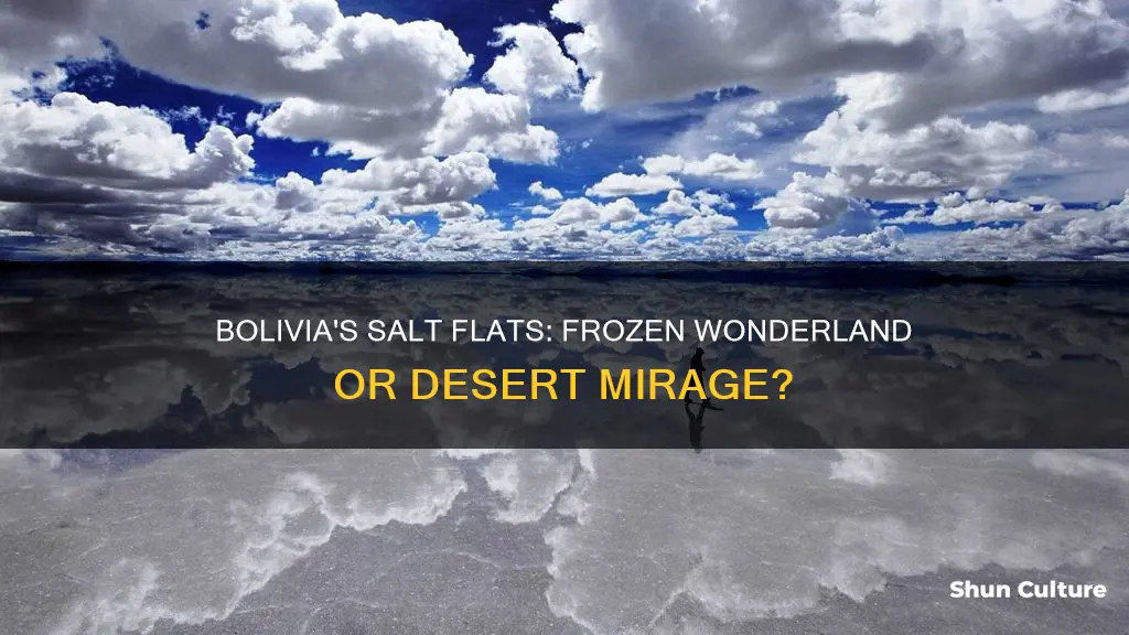 does bolivia salt flat freeze