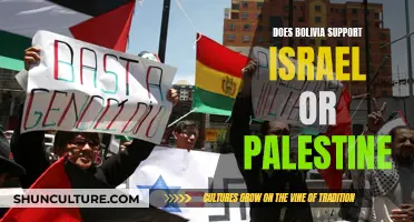 Bolivia's Stance on Israel-Palestine: A Complex Dynamic