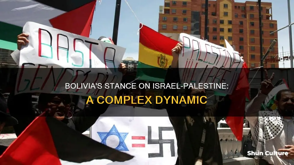 does bolivia support israel or palestine