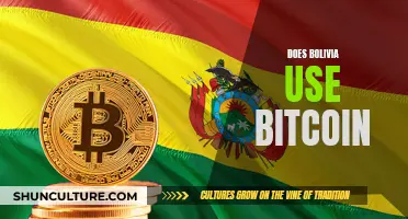 Bitcoin in Bolivia: Is It Legal Tender?