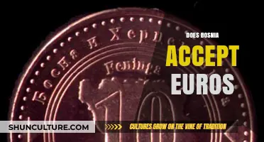 Does Bosnia Accept Euros? Currency Insights for Travelers and Investors