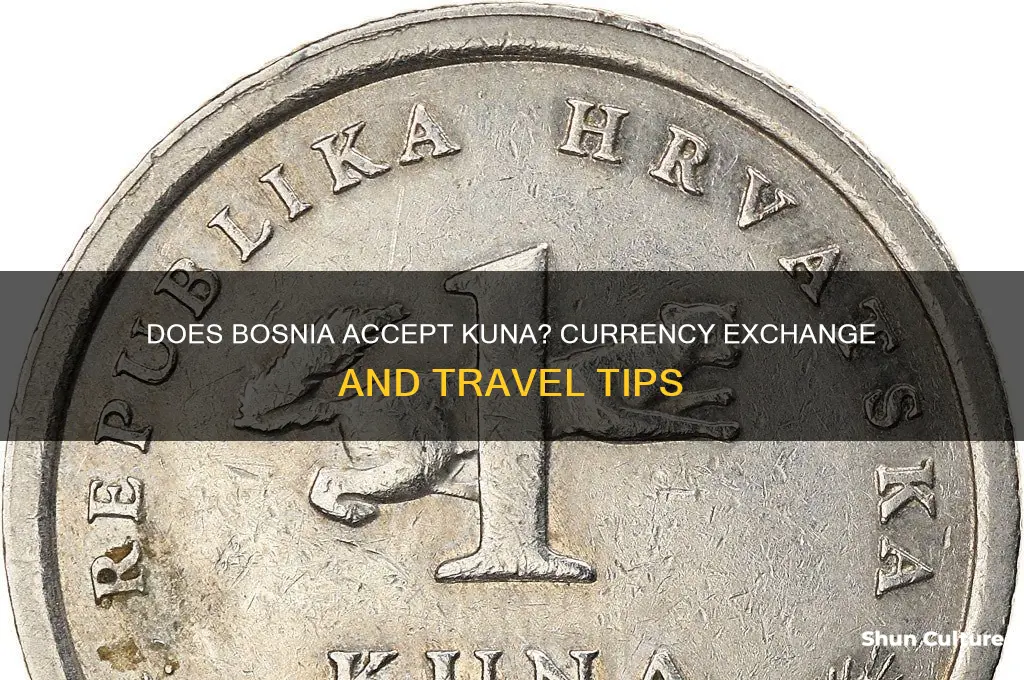 does bosnia accept kuna