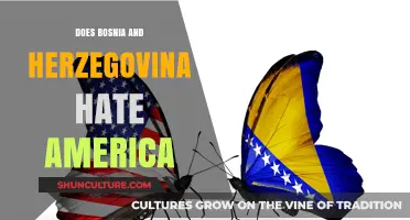 Bosnia and Herzegovina's Complex Relationship with the United States: Hate or Misunderstanding?