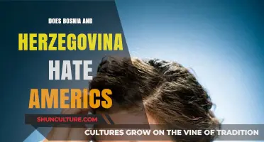 Bosnia and Herzegovina's Complex Relationship with the United States: Hate or Misunderstanding?