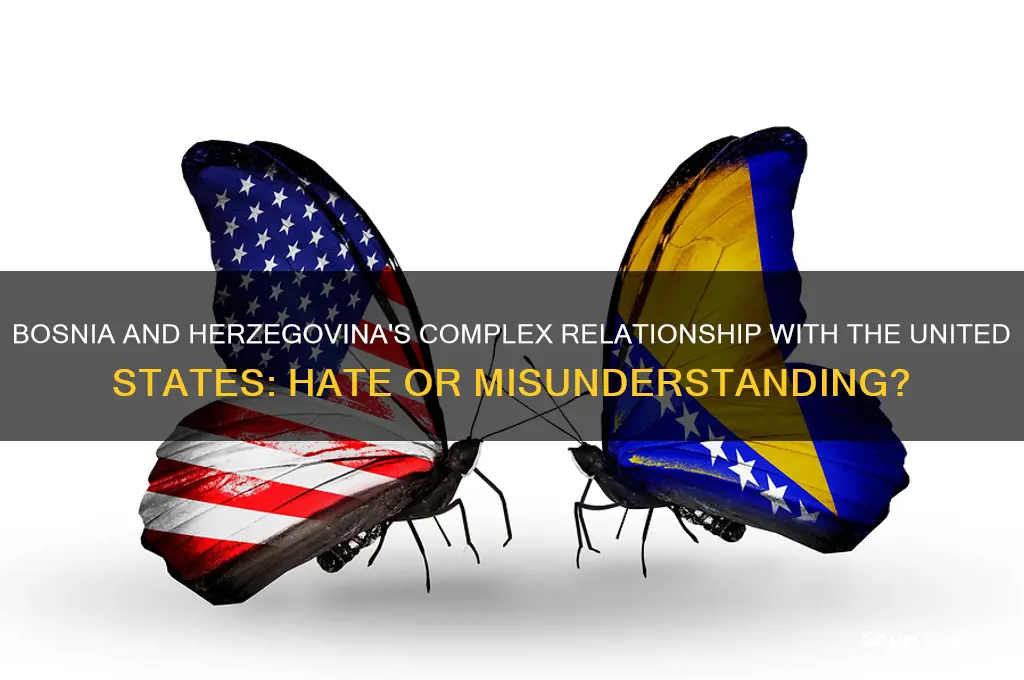 does bosnia and herzegovina hate americs
