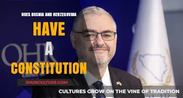 Bosnia and Herzegovina's Constitution: Existence, Structure, and Key Provisions