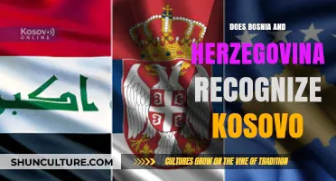 Bosnia and Herzegovina's Stance: Recognizing Kosovo's Independence Explored