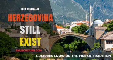 Bosnia and Herzegovina Today: A Nation's Resilience and Current Existence
