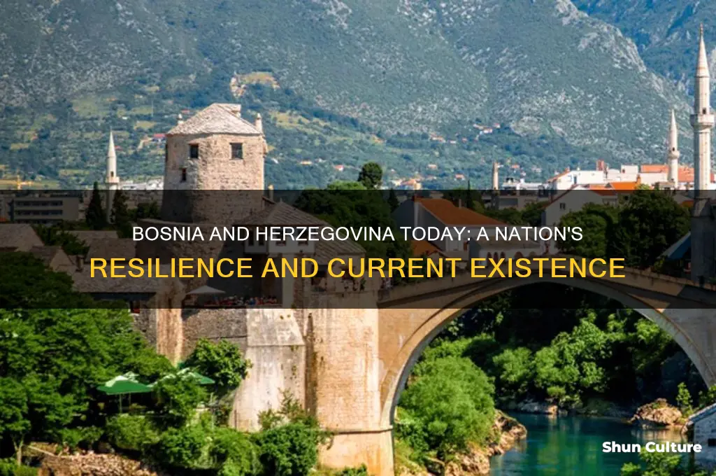 does bosnia and herzegovina still exist