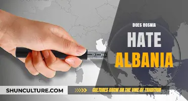 Bosnia and Albania: Unraveling Misconceptions About Their Complex Relationship
