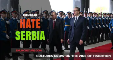 Bosnia and Serbia: Unraveling Historical Tensions and Modern Relations