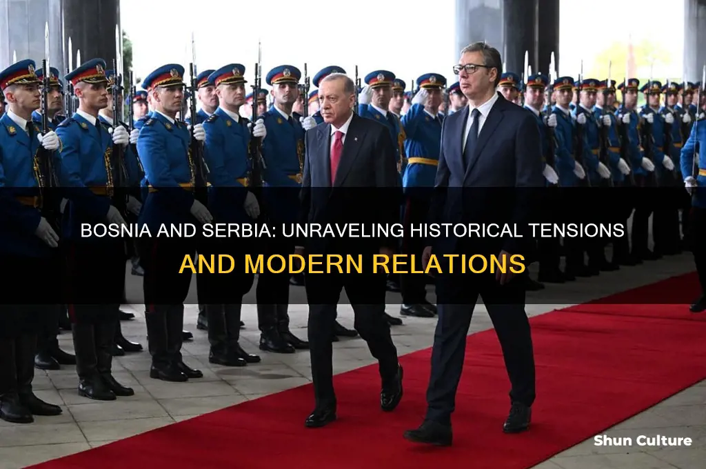 does bosnia hate serbia