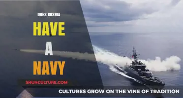 Does Bosnia Have a Navy? Exploring Its Maritime Capabilities