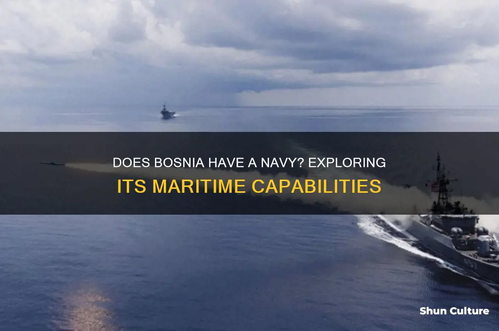 does bosnia have a navy