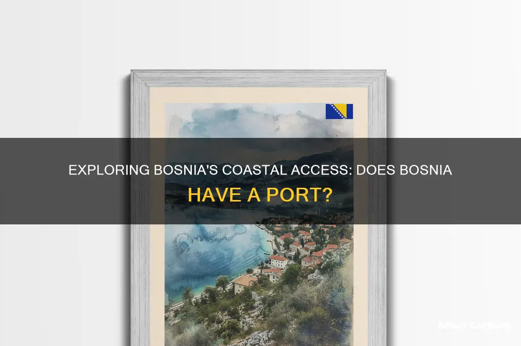 does bosnia have a port