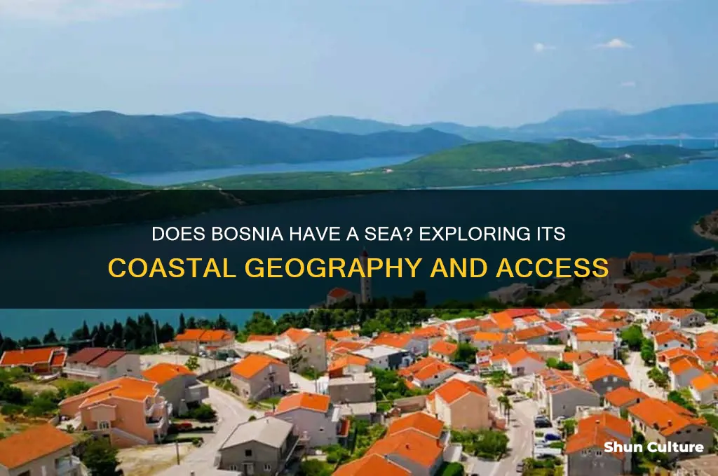 does bosnia have a sea