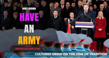 Bosnia's Military: Understanding the Armed Forces and Their Role Today