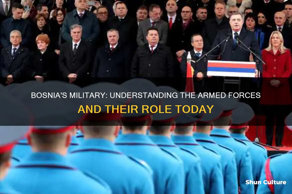does bosnia have an army