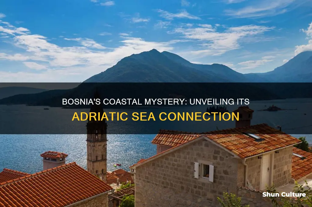 does bosnia have any coastline