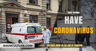 Bosnia's COVID-19 Status: Current Cases, Precautions, and Public Health Measures