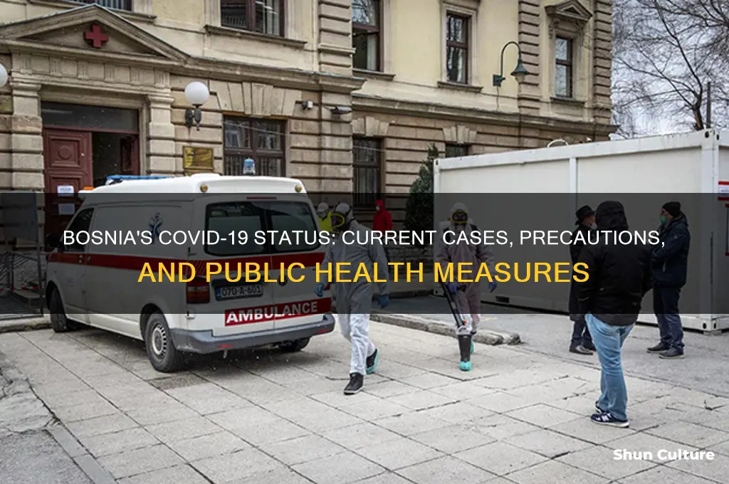 does bosnia have coronavirus