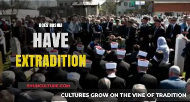 Bosnia's Extradition Laws: Understanding International Legal Cooperation