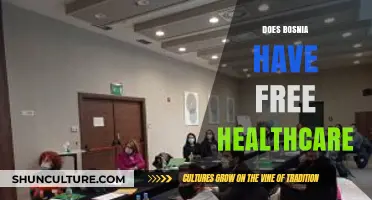 Exploring Bosnia's Healthcare System: Is It Truly Free for All?