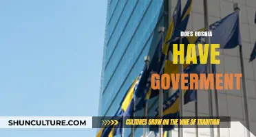 Understanding Bosnia's Government Structure: A Comprehensive Overview