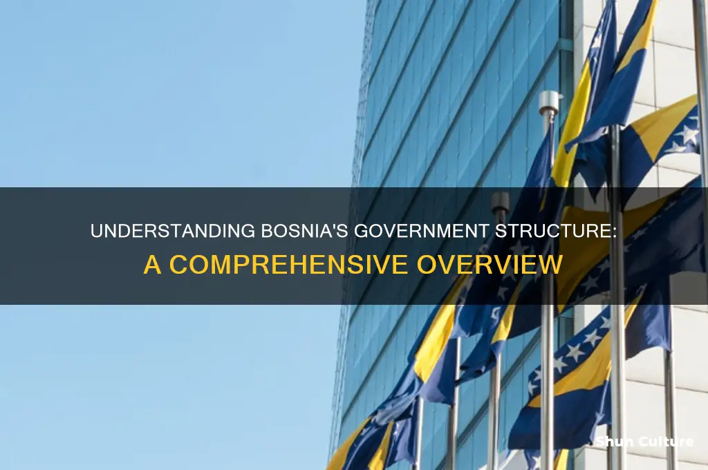 does bosnia have goverment