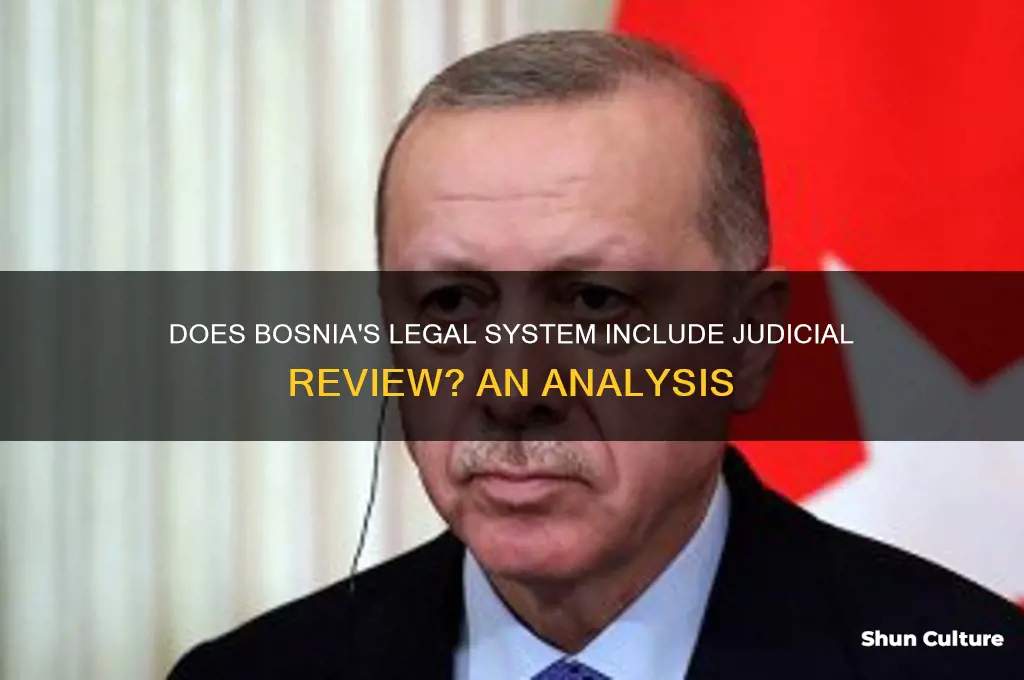 does bosnia have judicial review