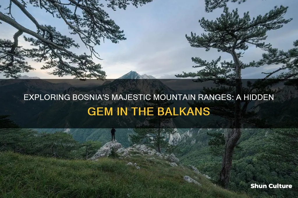does bosnia have mountains