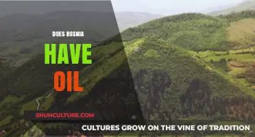 Exploring Bosnia's Energy Resources: Does the Country Have Oil Reserves?