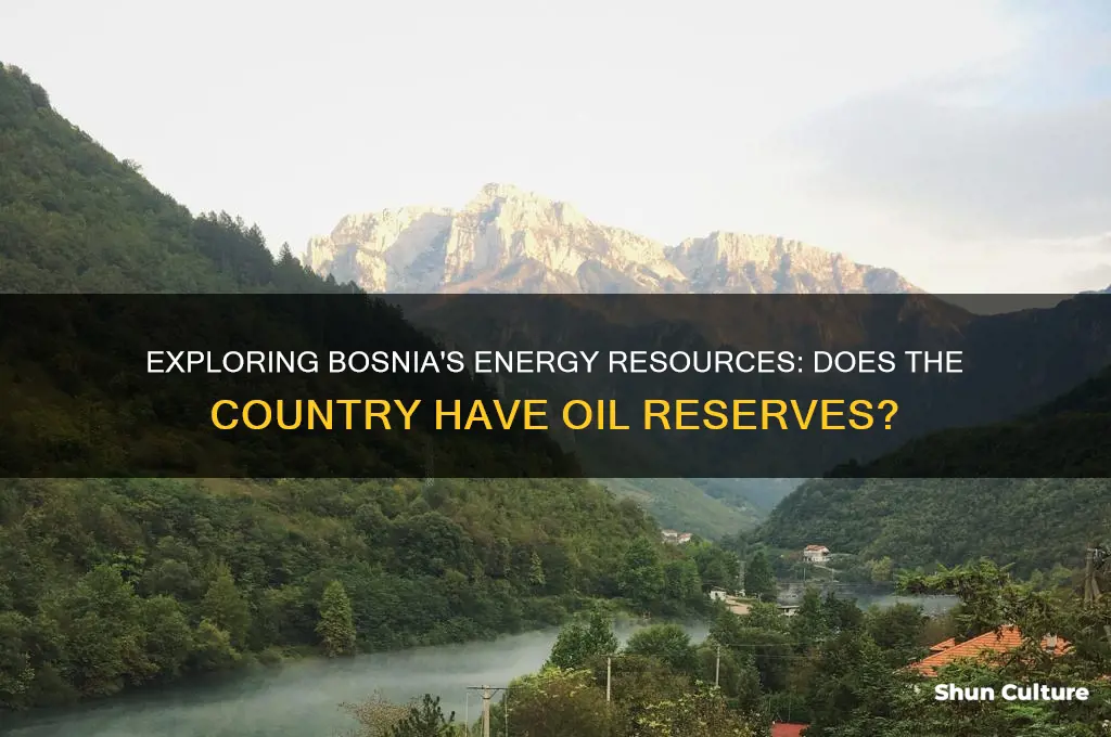 does bosnia have oil