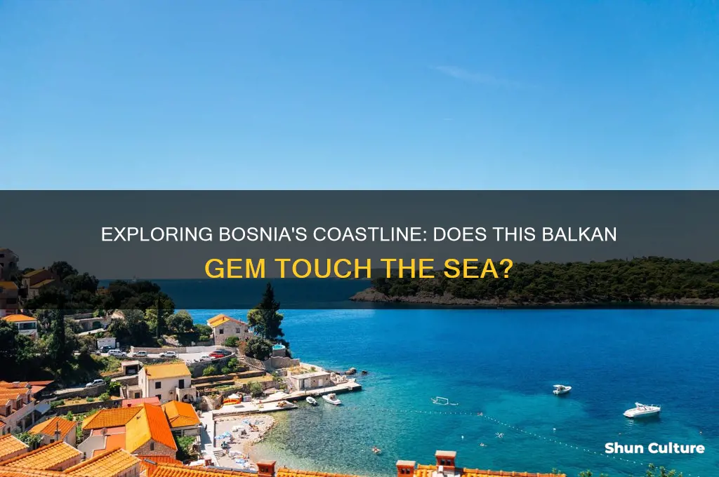 does bosnia have sea