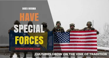 Bosnia's Elite Units: Unveiling the Nation's Special Forces Capabilities