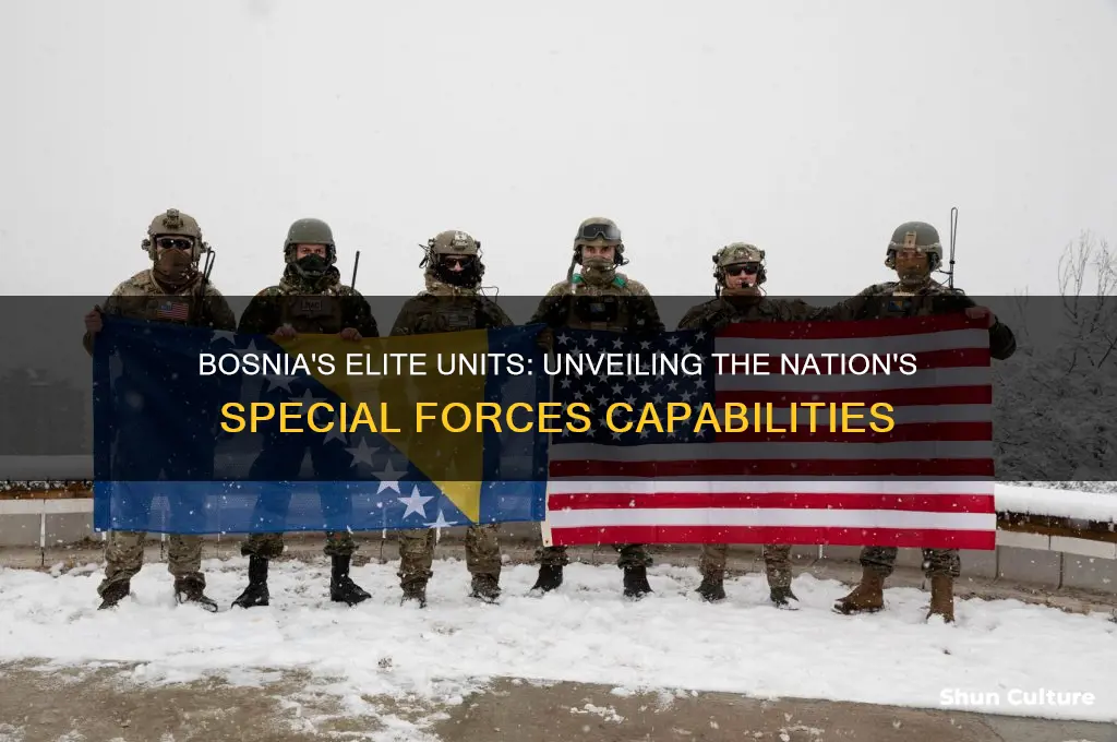 does bosnia have special forces