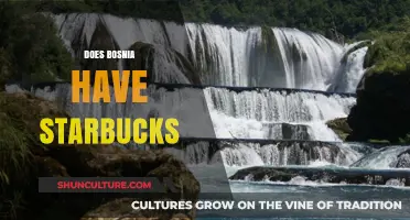 Exploring Bosnia's Coffee Scene: Does Starbucks Have a Presence?