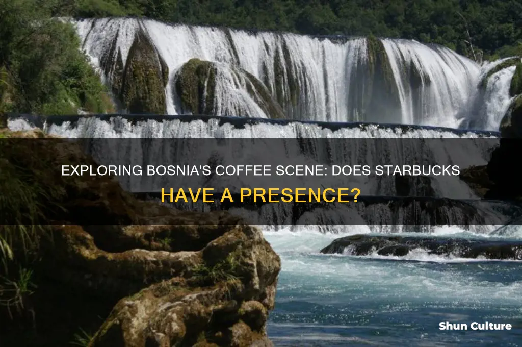 does bosnia have starbucks