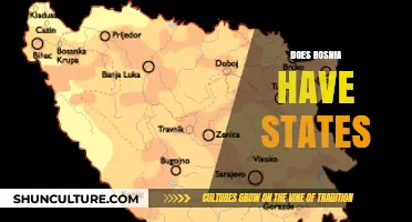 Bosnia's Administrative Divisions: Understanding Entities, Cantons, and Districts