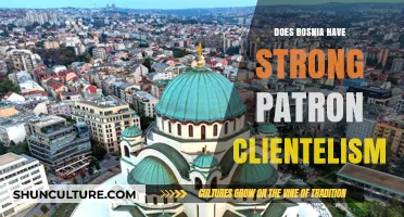 Bosnia's Patron-Client Networks: Examining the Strength of Clientelism