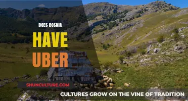 Exploring Bosnia's Ride-Sharing Options: Is Uber Available in the Country?