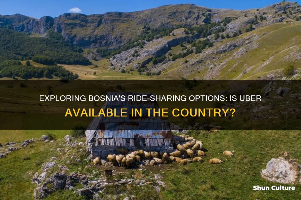 does bosnia have uber