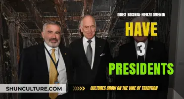 Bosnia-Herzegovina's Unique Presidency: Understanding the Three-President System