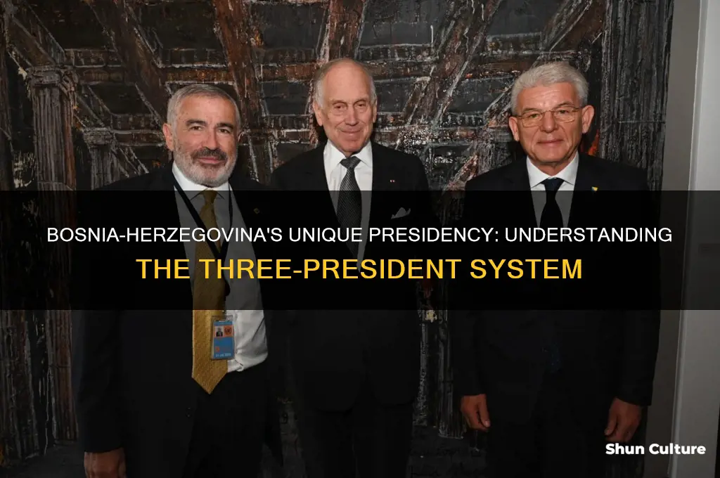 does bosnia-herzgovenia have 3 presidents