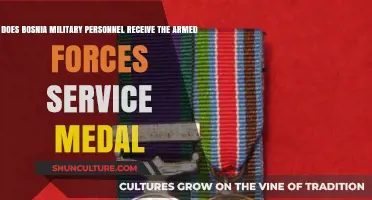 Bosnia Military Personnel: Eligibility for Armed Forces Service Medal Explained
