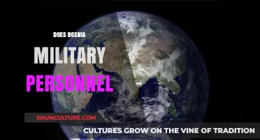 Bosnia's Military Personnel: Strength, Role, and Global Contributions Explored