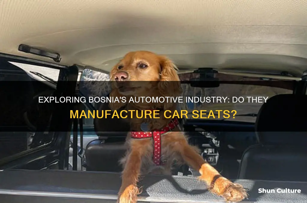 does bosnia produce car seats