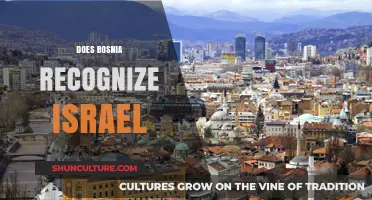 Bosnia's Stance on Israel: Recognition and Diplomatic Relations Explored