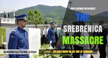 Bosnia's Recognition of the Srebrenica Massacre: A Complex Legacy